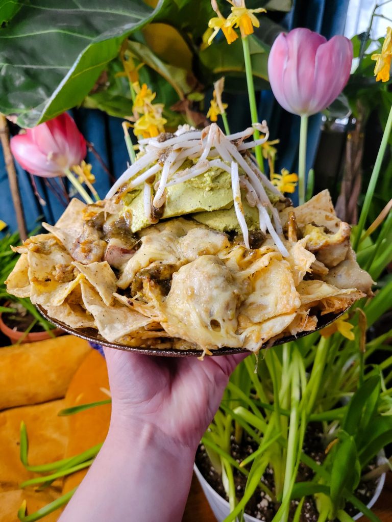 Nachos w/ Multicolored Potato Curry & Sprouts