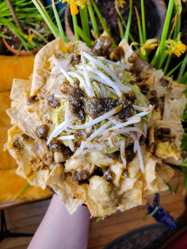 Nachos w/ Multicolored Potato Curry & Sprouts