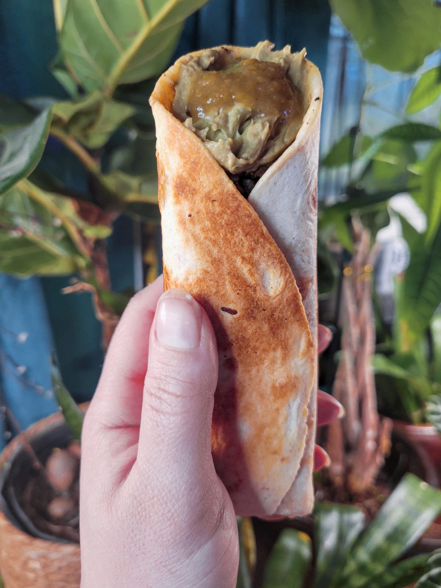 Burrito w/ Quinoa, Black Beans, & Corn