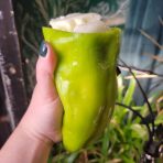 Oaxaca Cheese-Stuffed Cubanelle Peppers