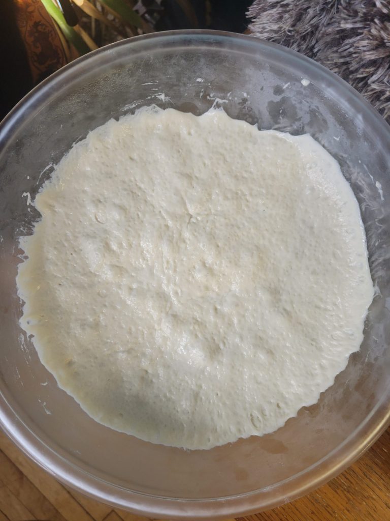 Barbecue Pizza Dough w/ All-purpose Flour
