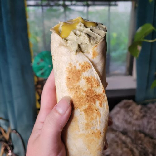 Burrito w/ Salmon, Leeks, & Snap Dragon Apples