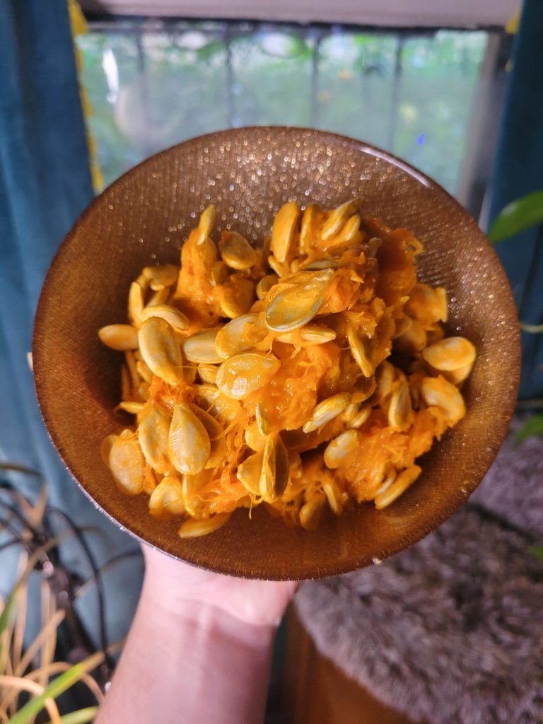 Roasted Kuri Squash Seeds