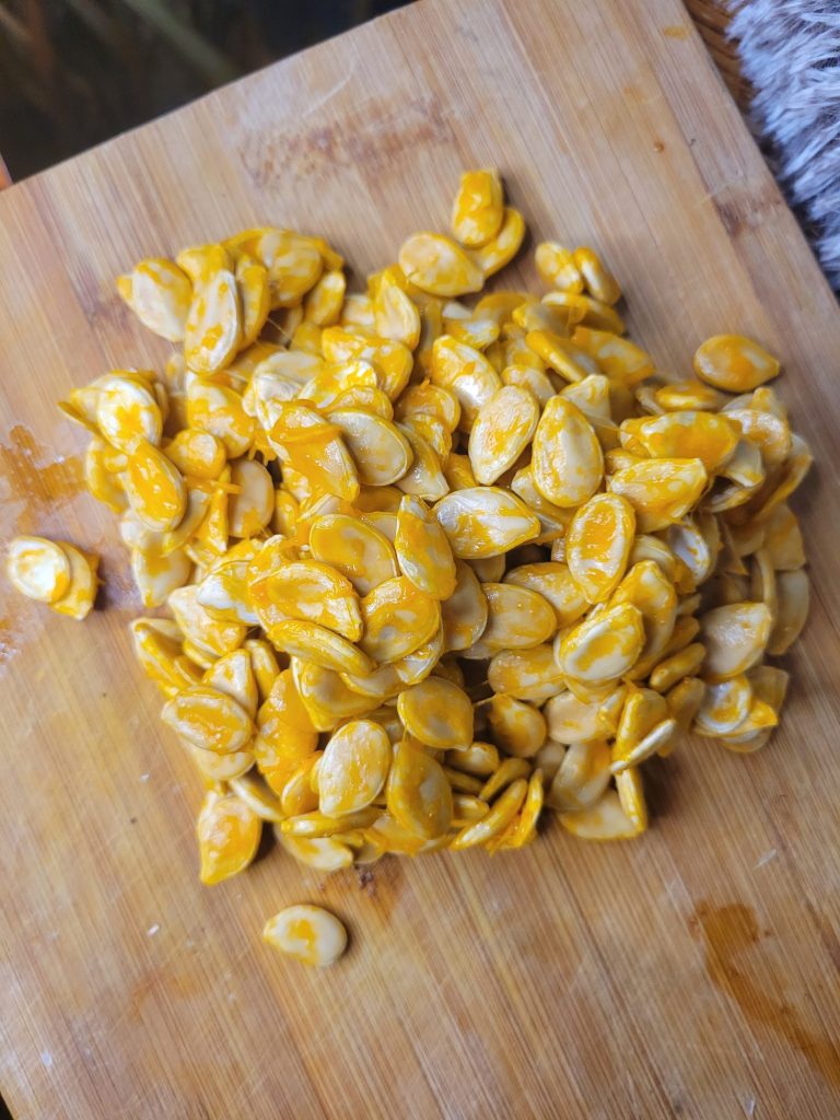 Roasted Kuri Squash Seeds