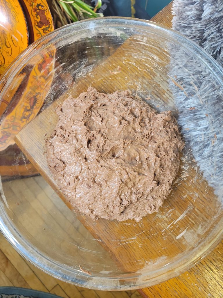 No-knead Dutch Oven Chocolate Bread w/ Cocoa Powder