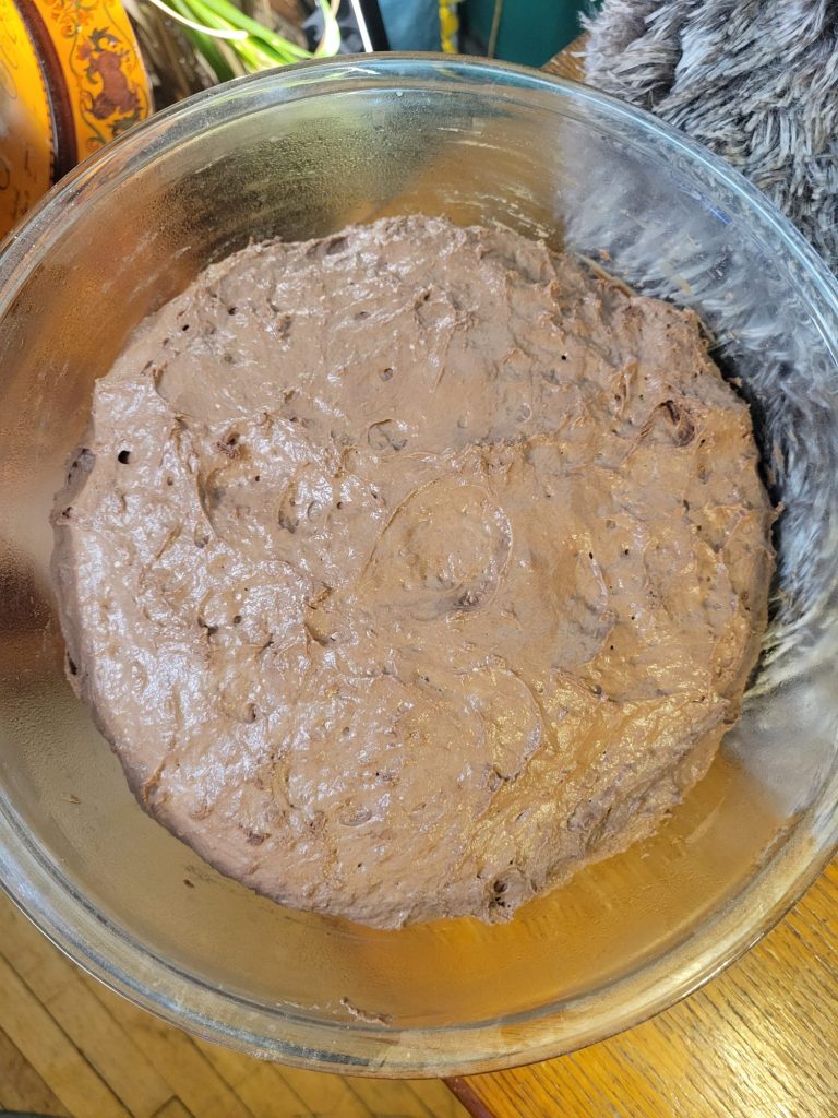 No-knead Dutch Oven Chocolate Bread w/ Cocoa Powder