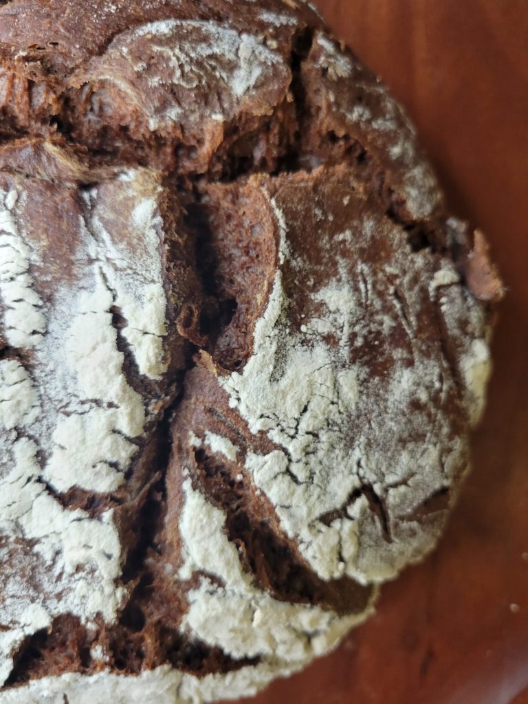 No-knead Dutch Oven Chocolate Bread w/ Cocoa Powder