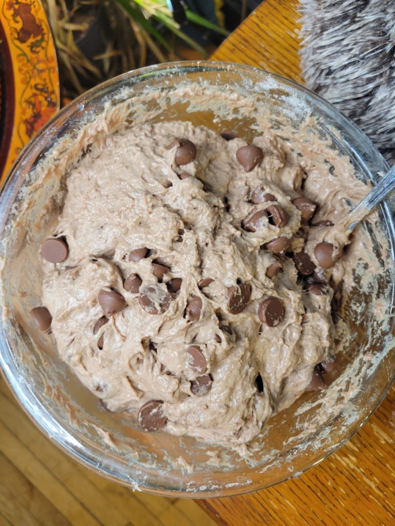 No-knead Dutch Oven Bread w/ Cocoa Powder & Chocolate Chips