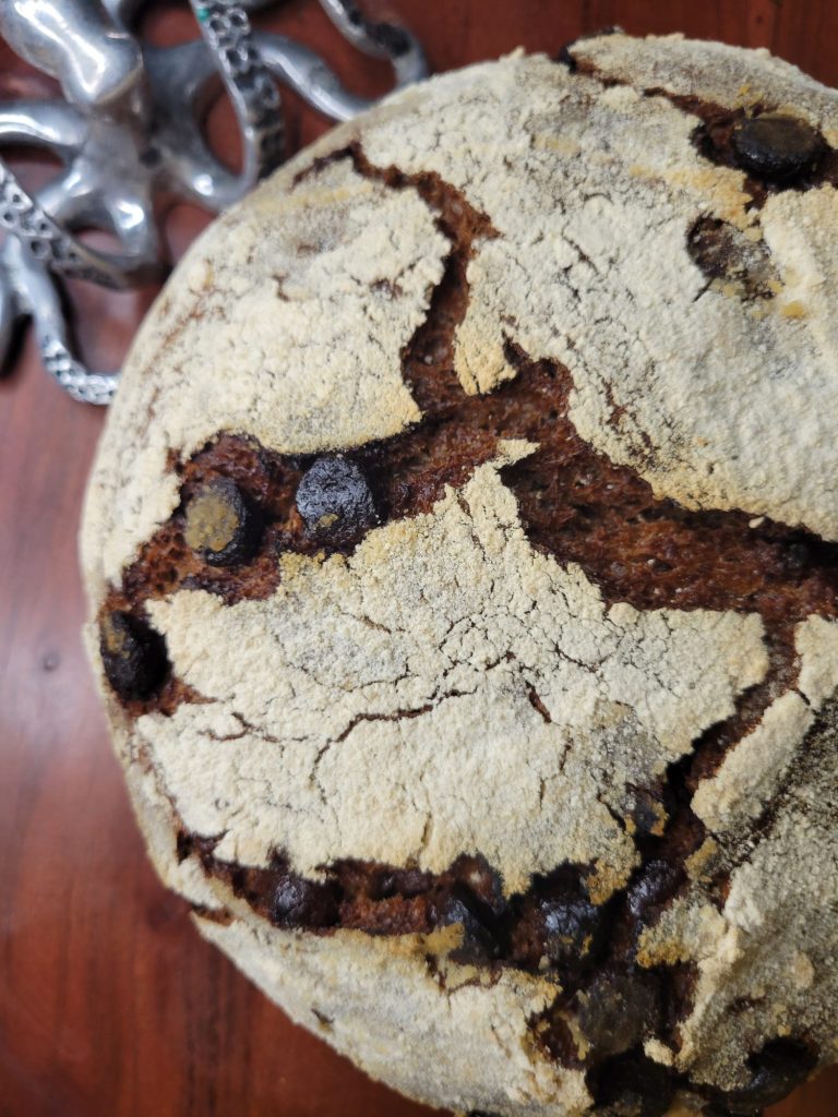 No-knead Dutch Oven Bread w/ Cocoa Powder & Chocolate Chips