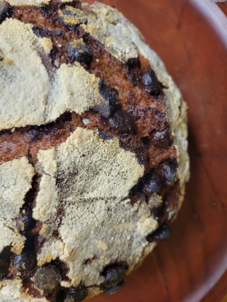 No-knead Dutch Oven Bread w/ Cocoa Powder & Chocolate Chips