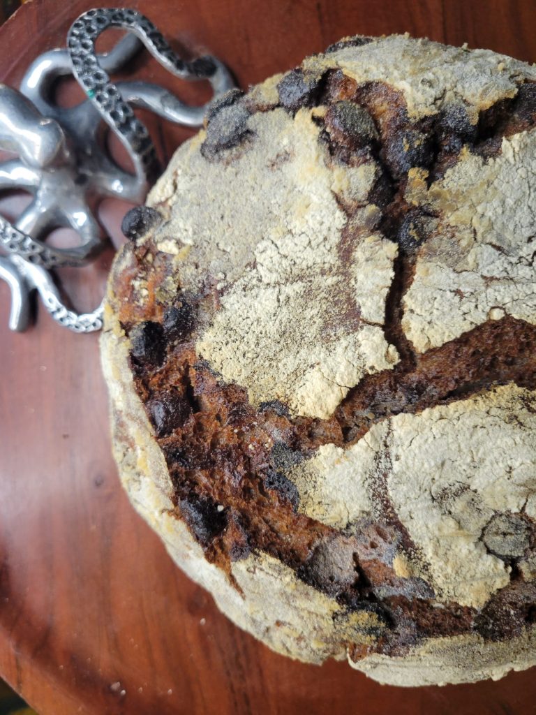 No-knead Dutch Oven Bread w/ Cocoa Powder & Chocolate Chips