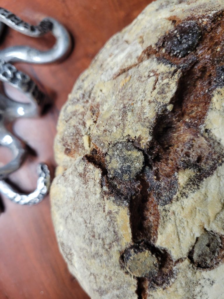 No-knead Dutch Oven Bread w/ Cocoa Powder & Chocolate Chips